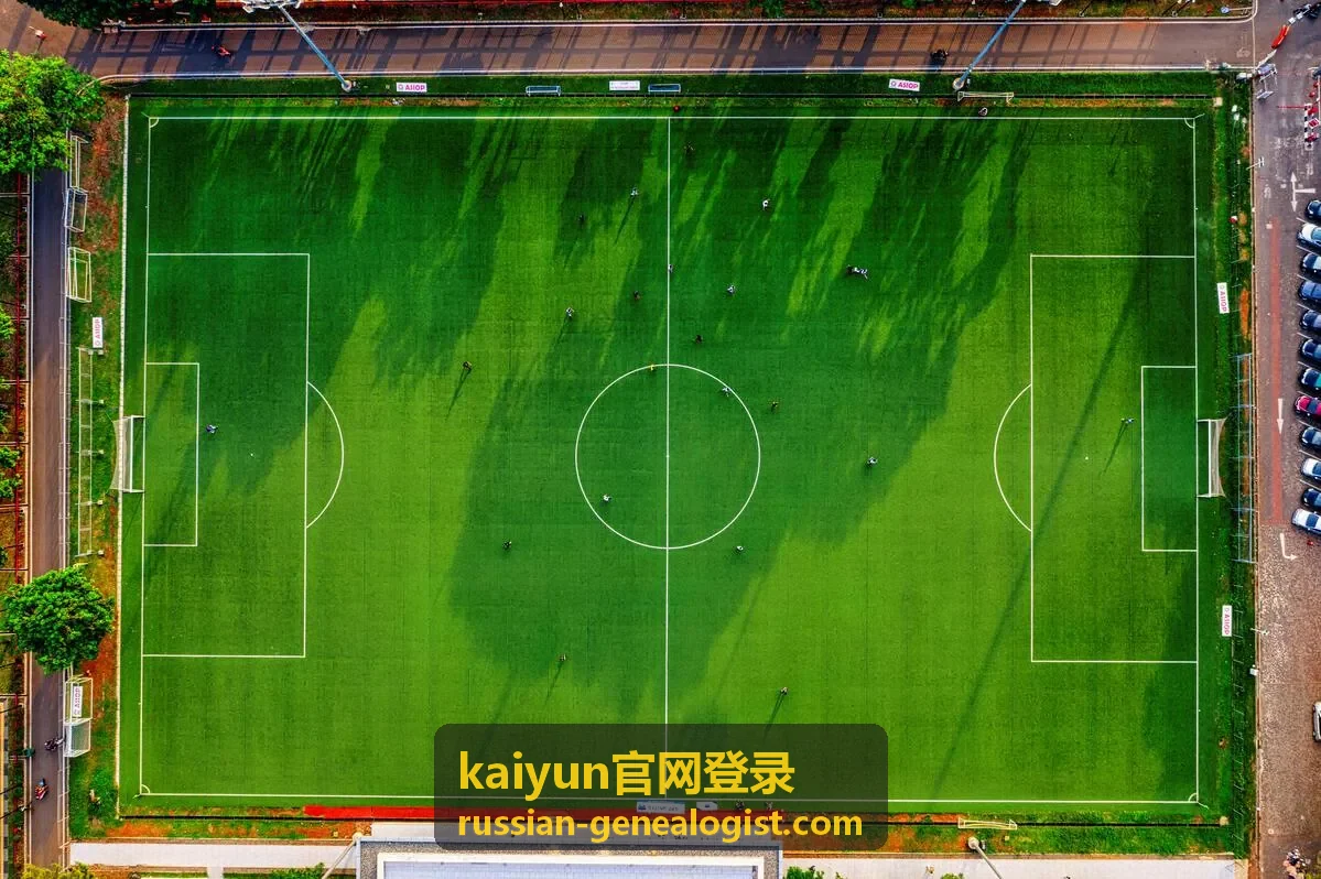 kaiyun 客户端更新记录与历史版本封面示意图