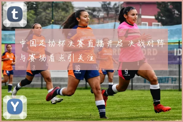 中国足协杯决赛直播开启 决战对阵与赛场看点引关注