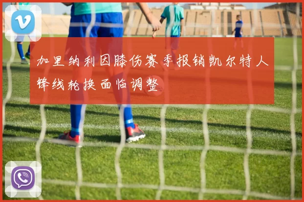 加里纳利因膝伤赛季报销凯尔特人锋线轮换面临调整