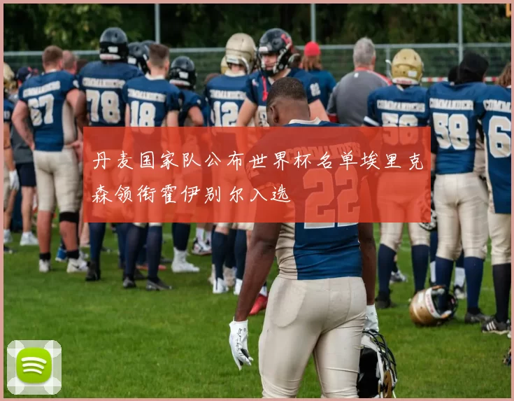 丹麦国家队公布世界杯名单埃里克森领衔霍伊别尔入选