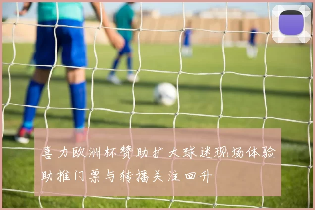 喜力欧洲杯赞助扩大球迷现场体验助推门票与转播关注回升