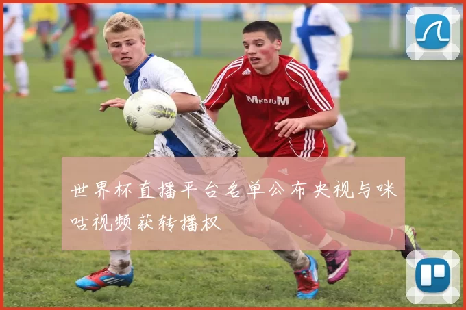 世界杯直播平台名单公布央视与咪咕视频获转播权