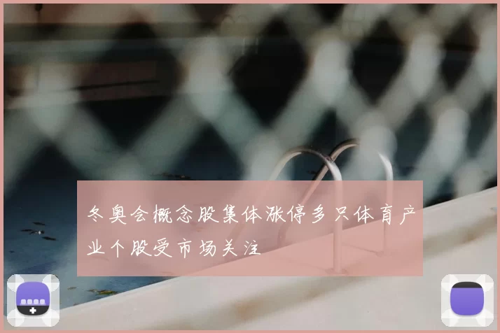 冬奥会概念股集体涨停多只体育产业个股受市场关注