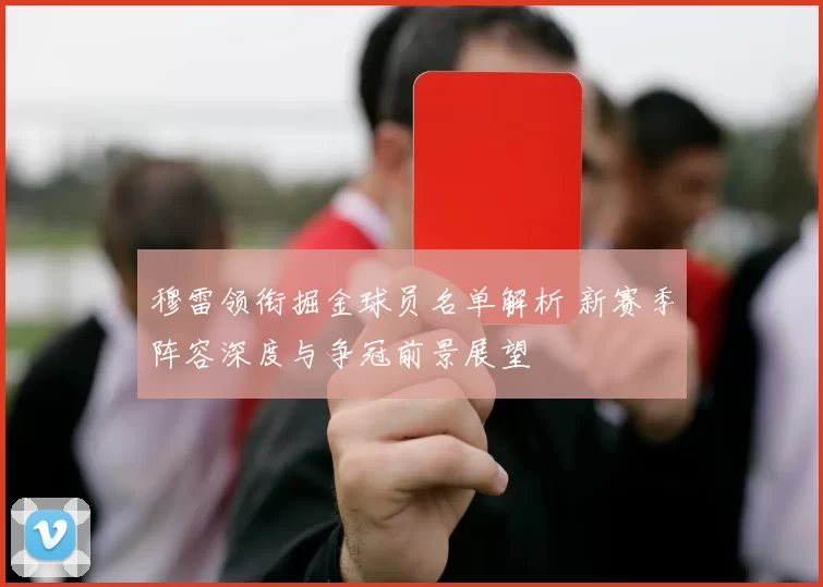 穆雷领衔掘金球员名单解析 新赛季阵容深度与争冠前景展望