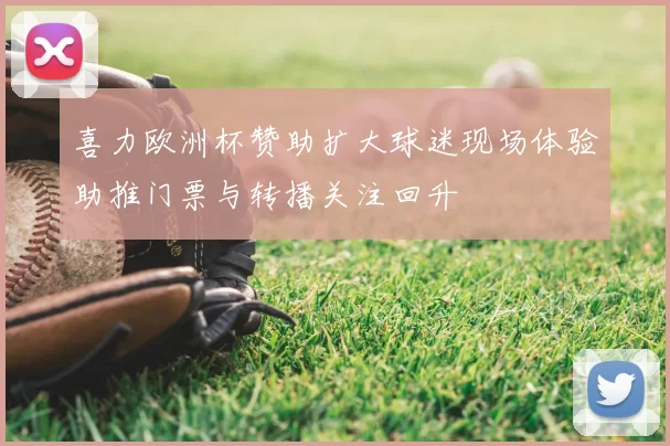 喜力欧洲杯赞助扩大球迷现场体验助推门票与转播关注回升