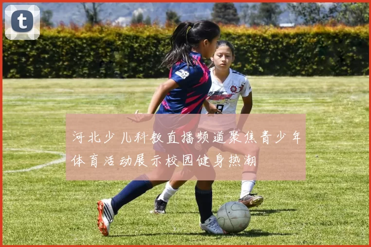 河北少儿科教直播频道聚焦青少年体育活动展示校园健身热潮