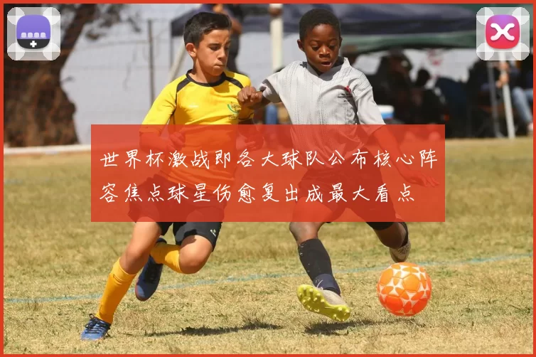 世界杯激战即各大球队公布核心阵容焦点球星伤愈复出成最大看点