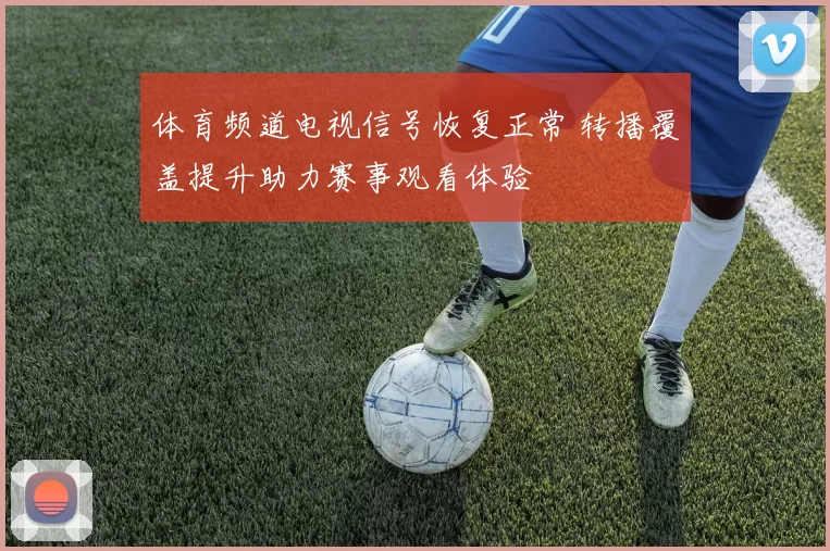 体育频道电视信号恢复正常 转播覆盖提升助力赛事观看体验