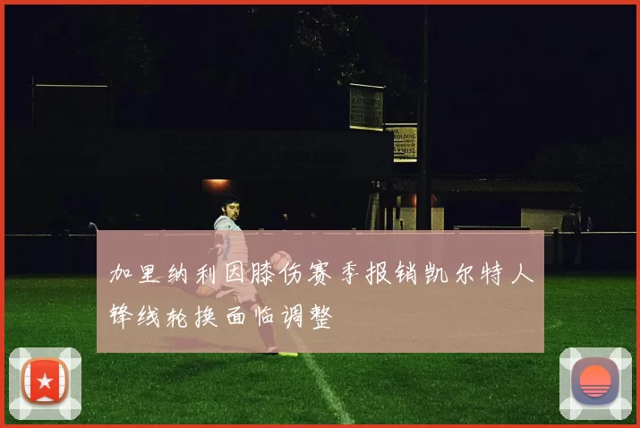 加里纳利因膝伤赛季报销凯尔特人锋线轮换面临调整