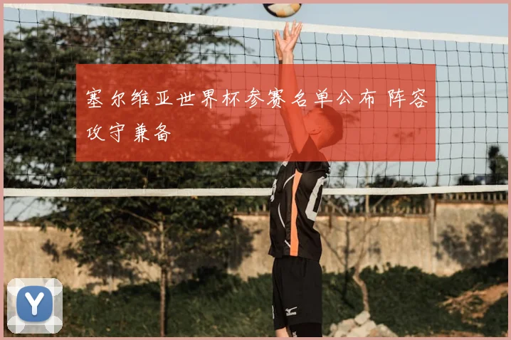 塞尔维亚世界杯参赛名单公布 阵容攻守兼备