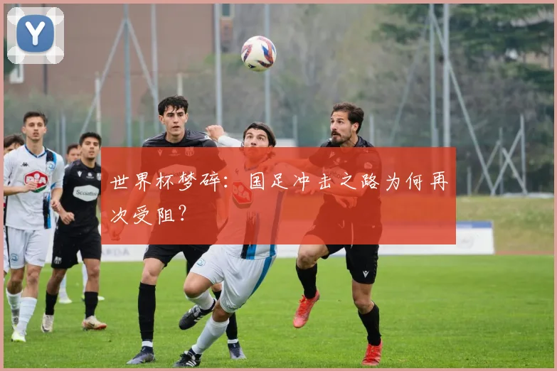 世界杯梦碎:国足冲击之路为何再次受阻?