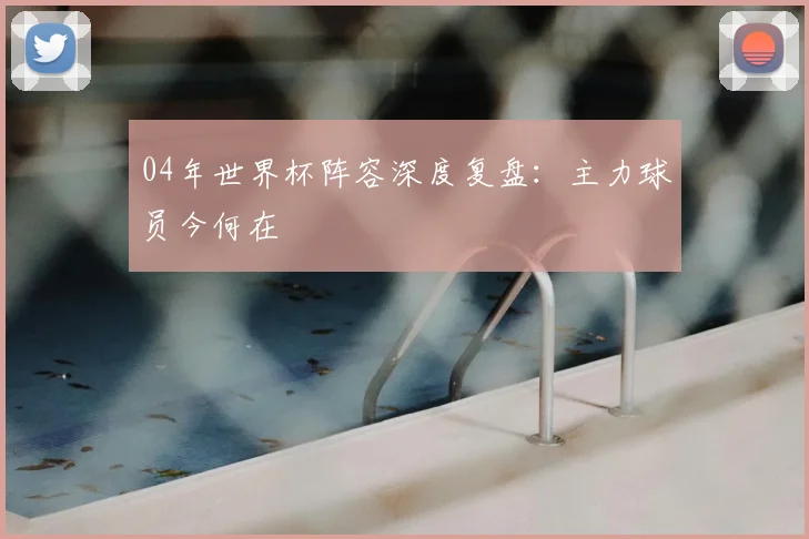 04年世界杯阵容深度复盘:主力球员今何在
