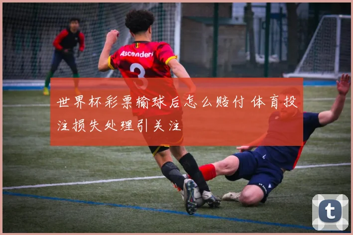 世界杯彩票输球后怎么赔付 体育投注损失处理引关注
