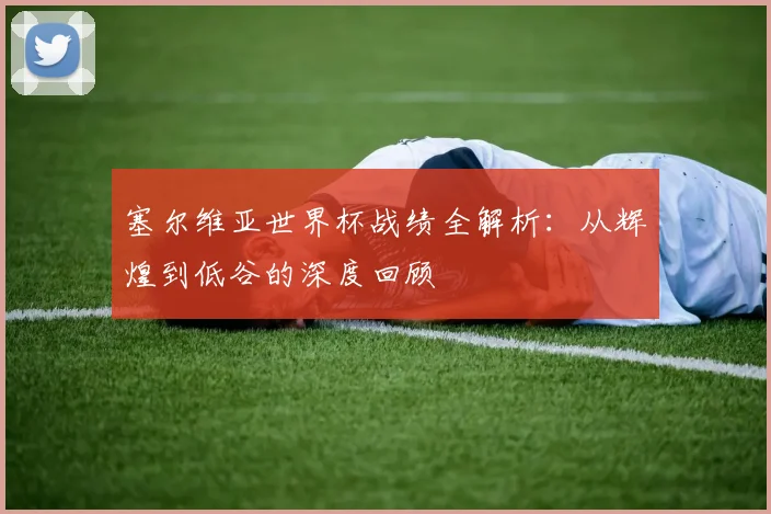 塞尔维亚世界杯战绩全解析：从辉煌到低谷的深度回顾