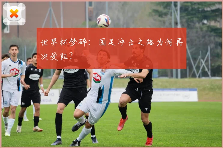 世界杯梦碎：国足冲击之路为何再次受阻？