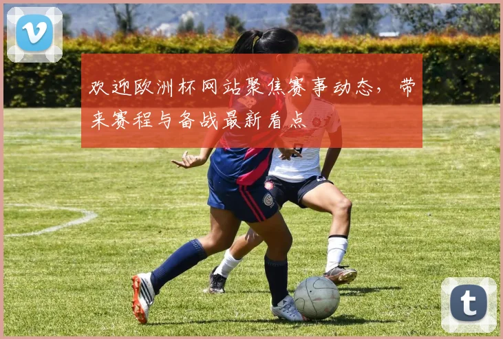 欢迎欧洲杯网站聚焦赛事动态,带来赛程与备战最新看点