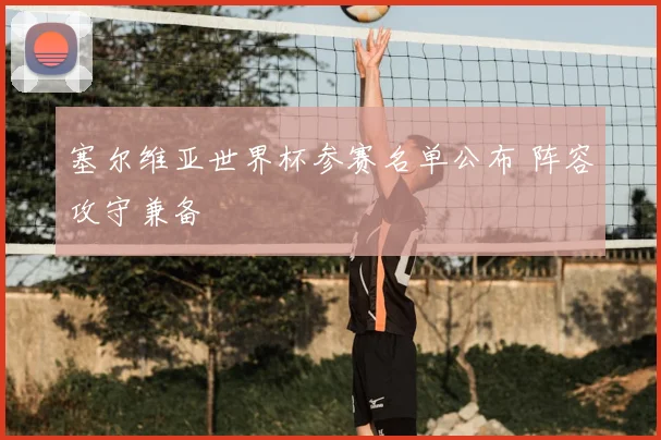 塞尔维亚世界杯参赛名单公布 阵容攻守兼备