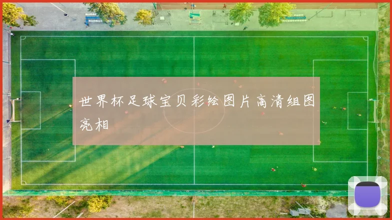 世界杯足球宝贝彩绘图片高清组图亮相